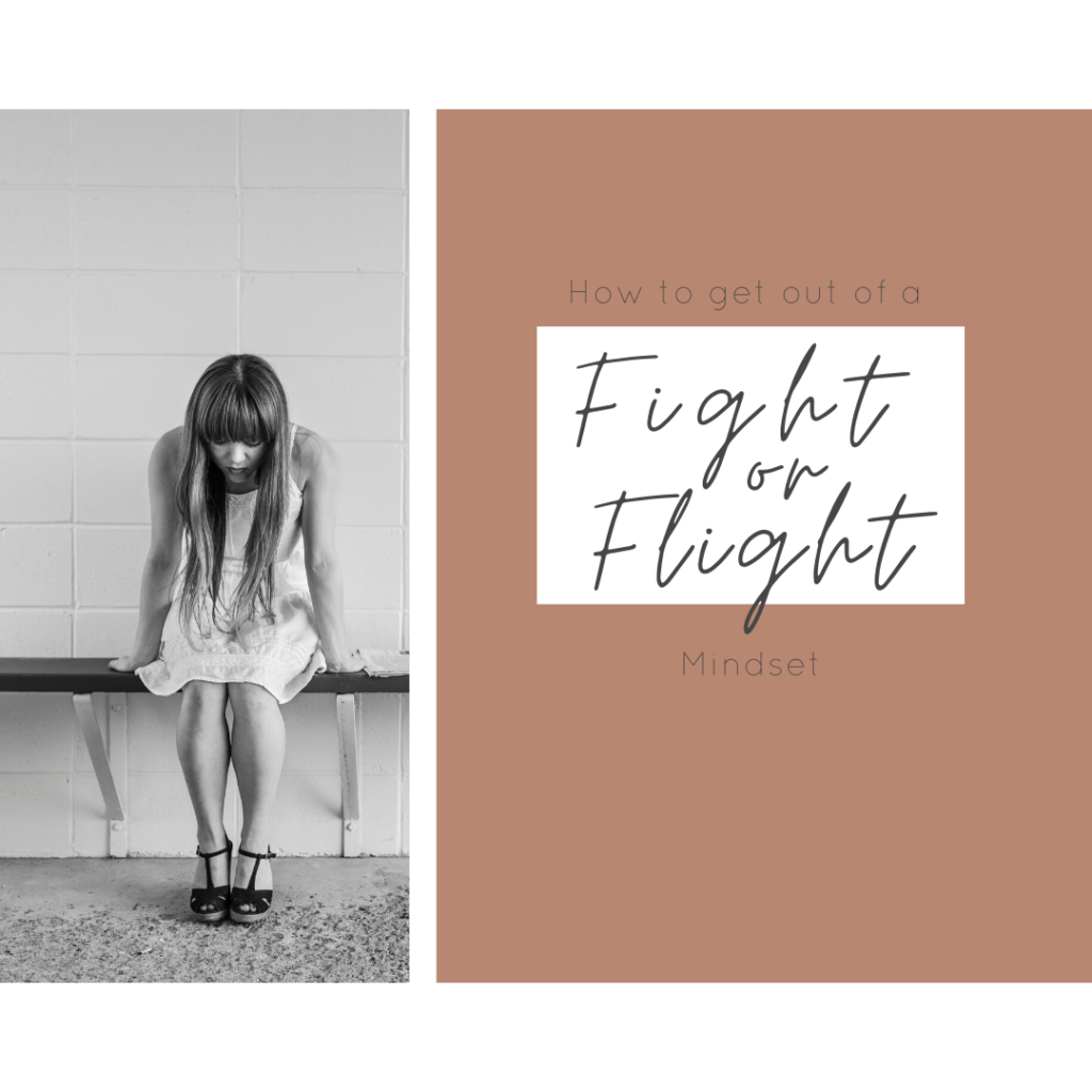 how-to-get-out-of-a-fight-or-flight-mindset